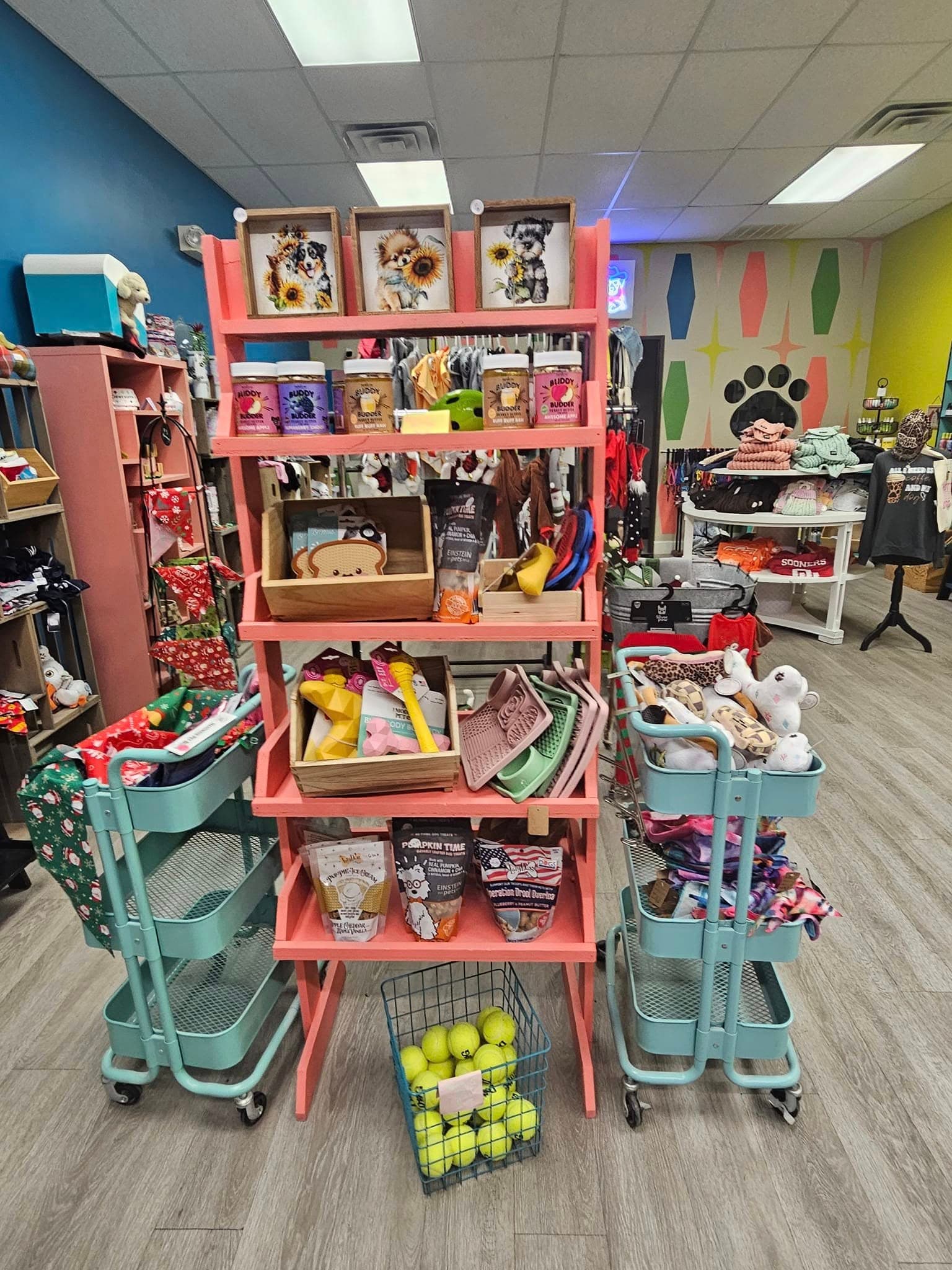 The colorful shelves of Elite Pooch Boutique, filled with dog toys, treats and accessories.