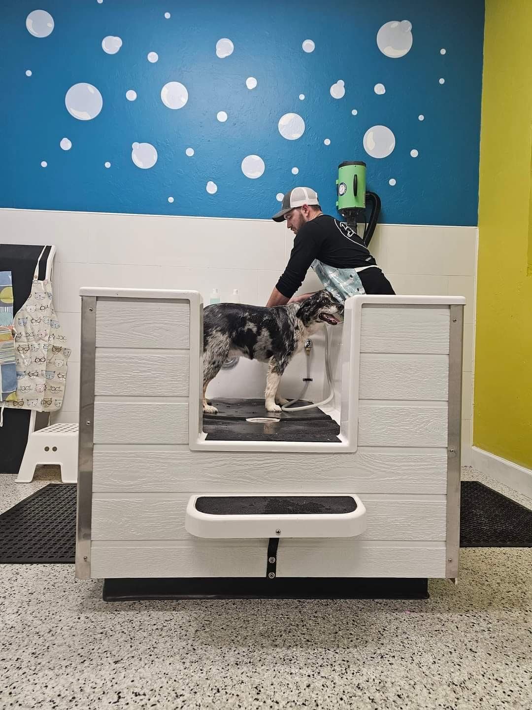 A dog and its owner using a walk-in self-wash tub at Elite Pooch.